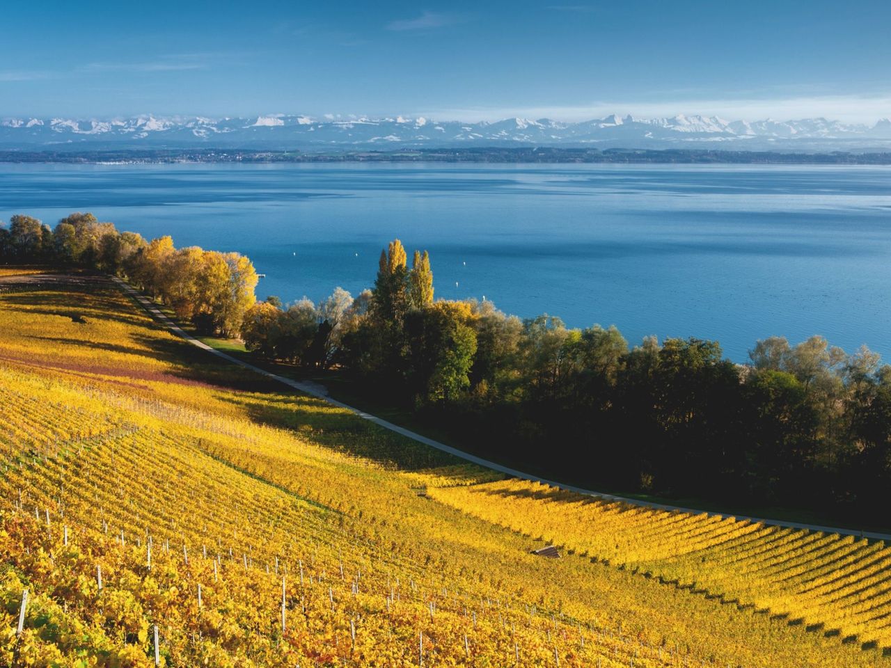 Schifffahrt Neuchâtel - Yverdon-les-Bains Ticket