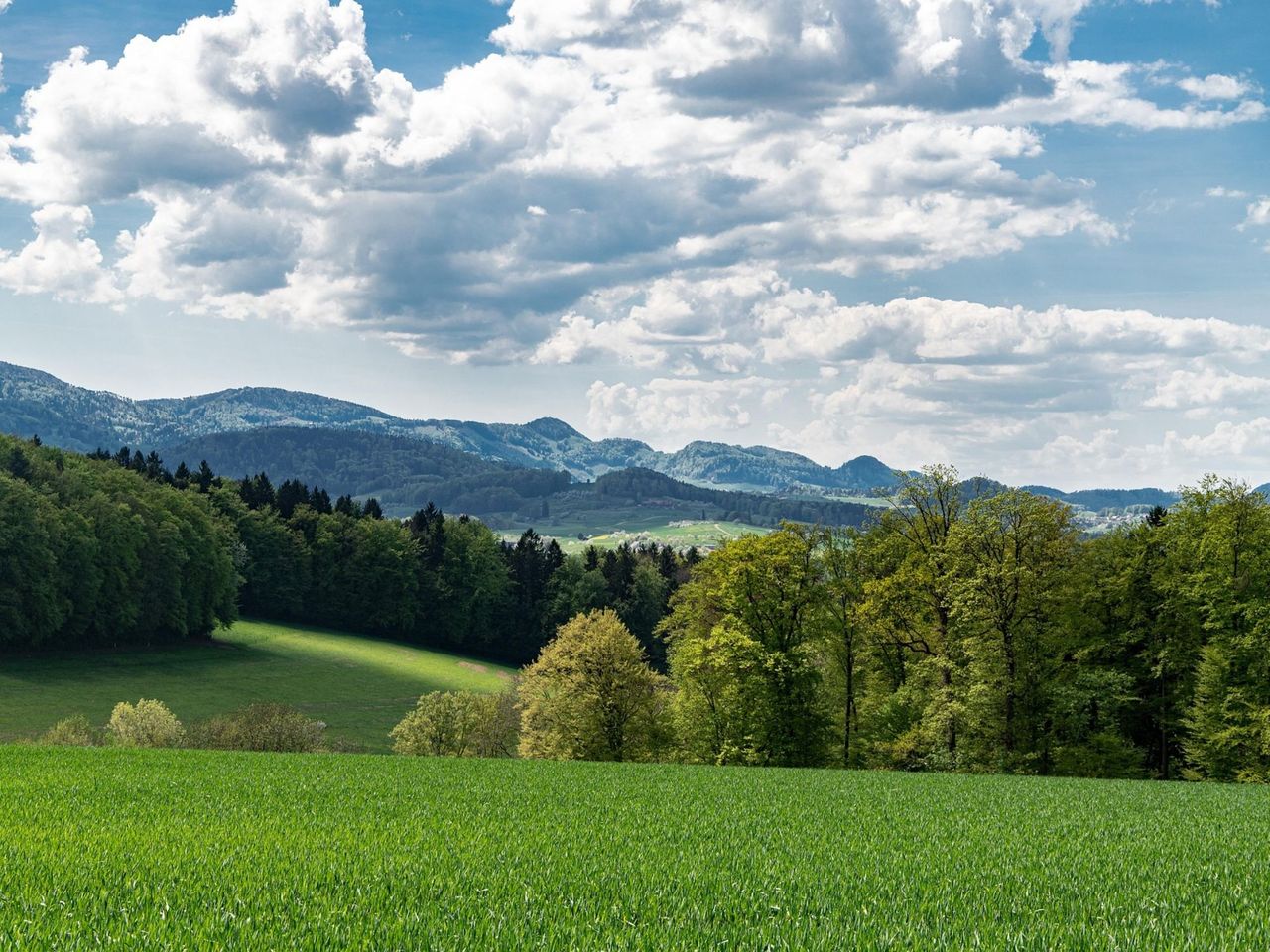 "Catch the Agent" GPS game in Liestal for team events