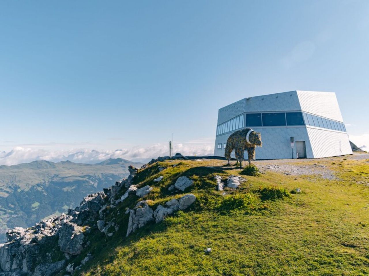 Private train trip to the Arosa Bear Land from Zurich