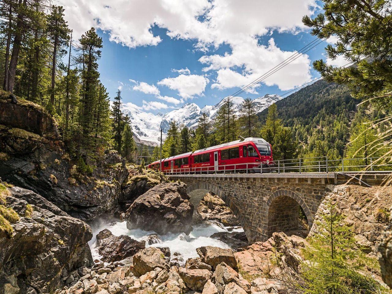Private train trip to the Arosa Bear Land from Zurich