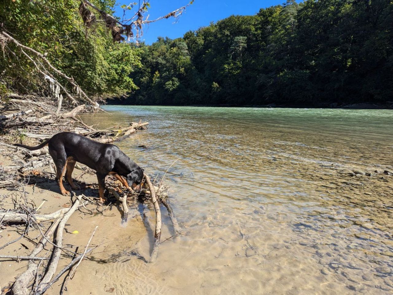 "Tracking Nature including Picnic": On the Move with Charlotte Arnswald