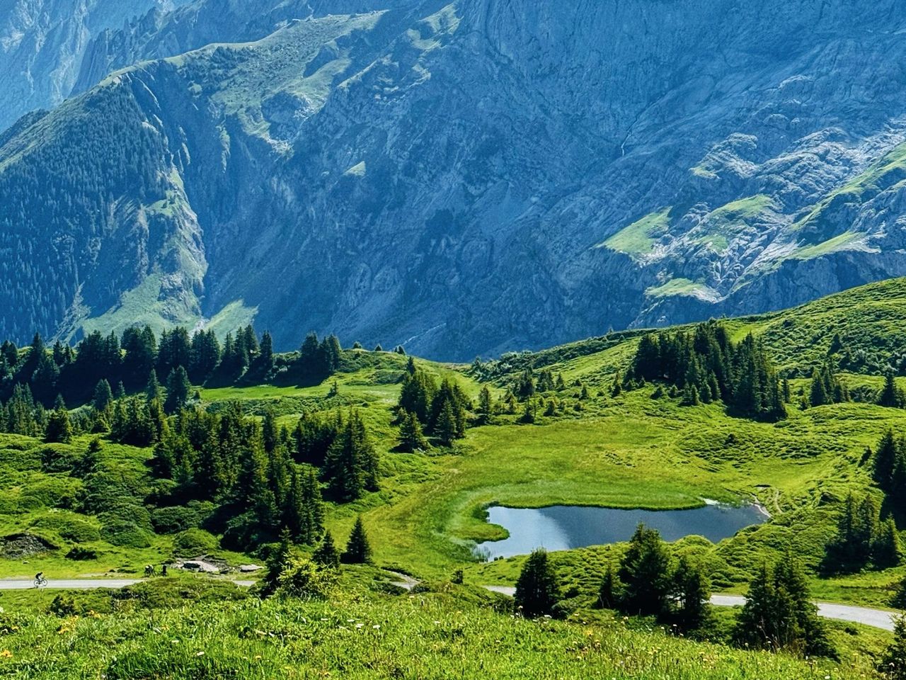 "Rosenlaui Tal" - E-Bike-Tour ab Interlaken