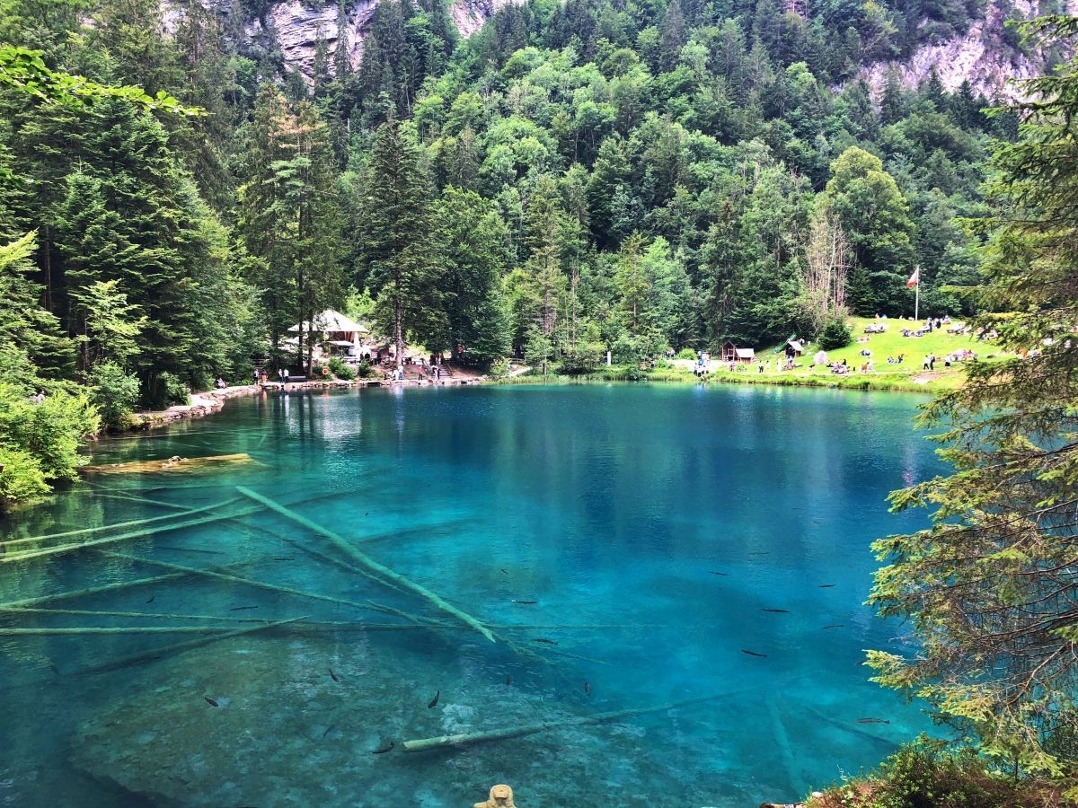 14 Tage Schweiz Berner Oberland Blausee 