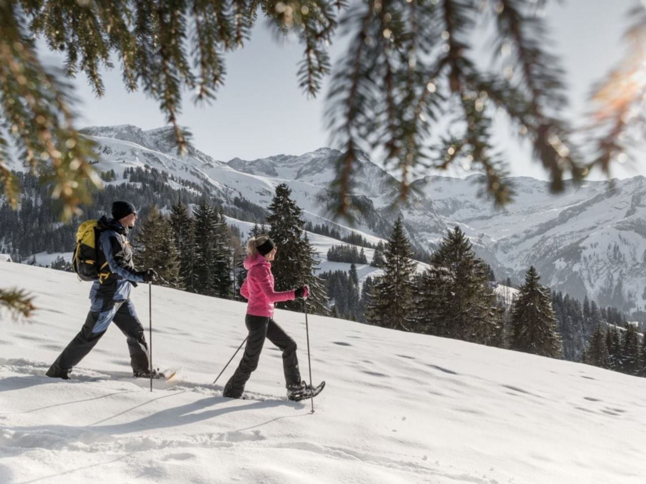 Private Snowshoe Lessons in Gstaad