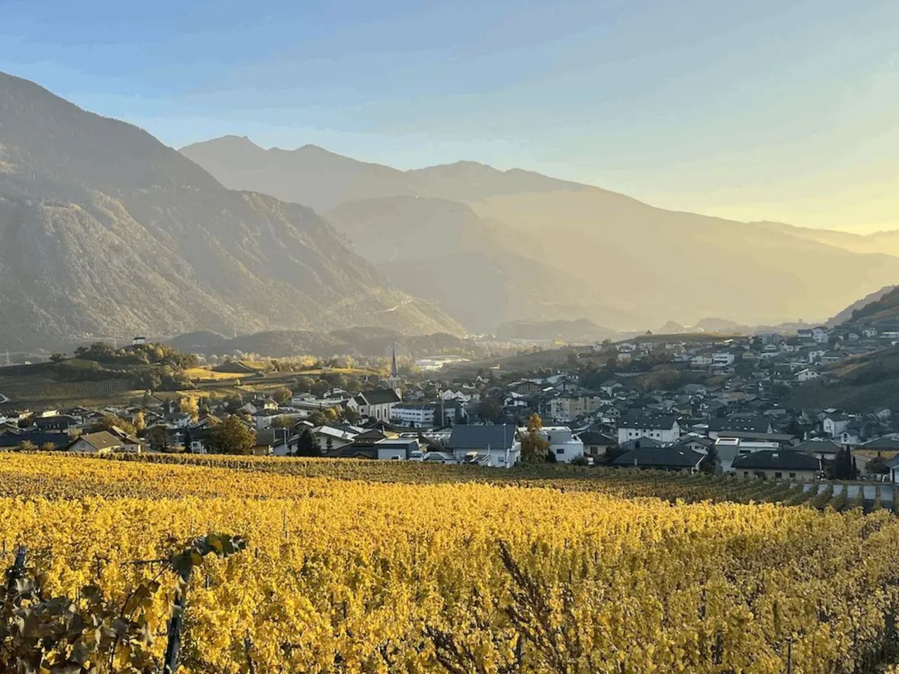 Weinwanderung in Salgesch