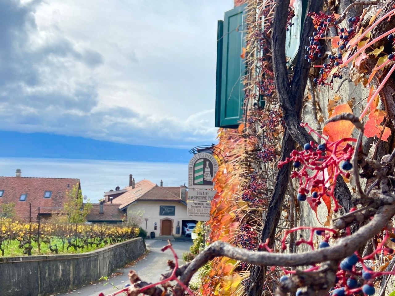 Private Weinwanderung in Lavaux ab Lausanne