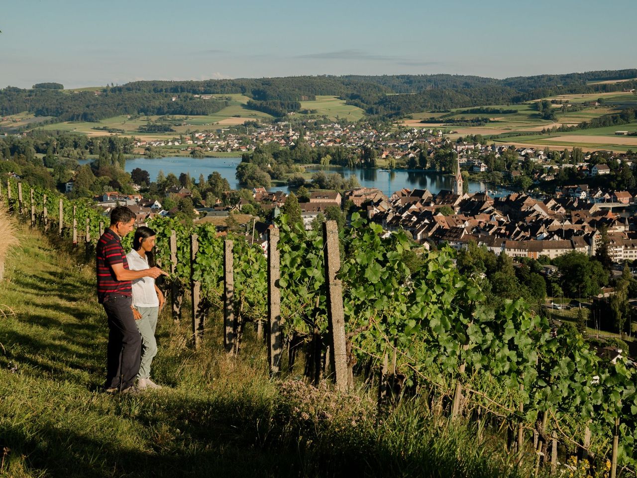 Private Degustation Wein und Käse in Stein am Rhein