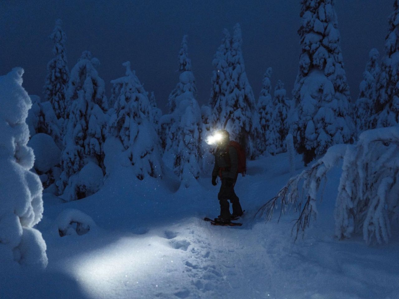 Snowshoe Night Adventure including Fondue Champéry