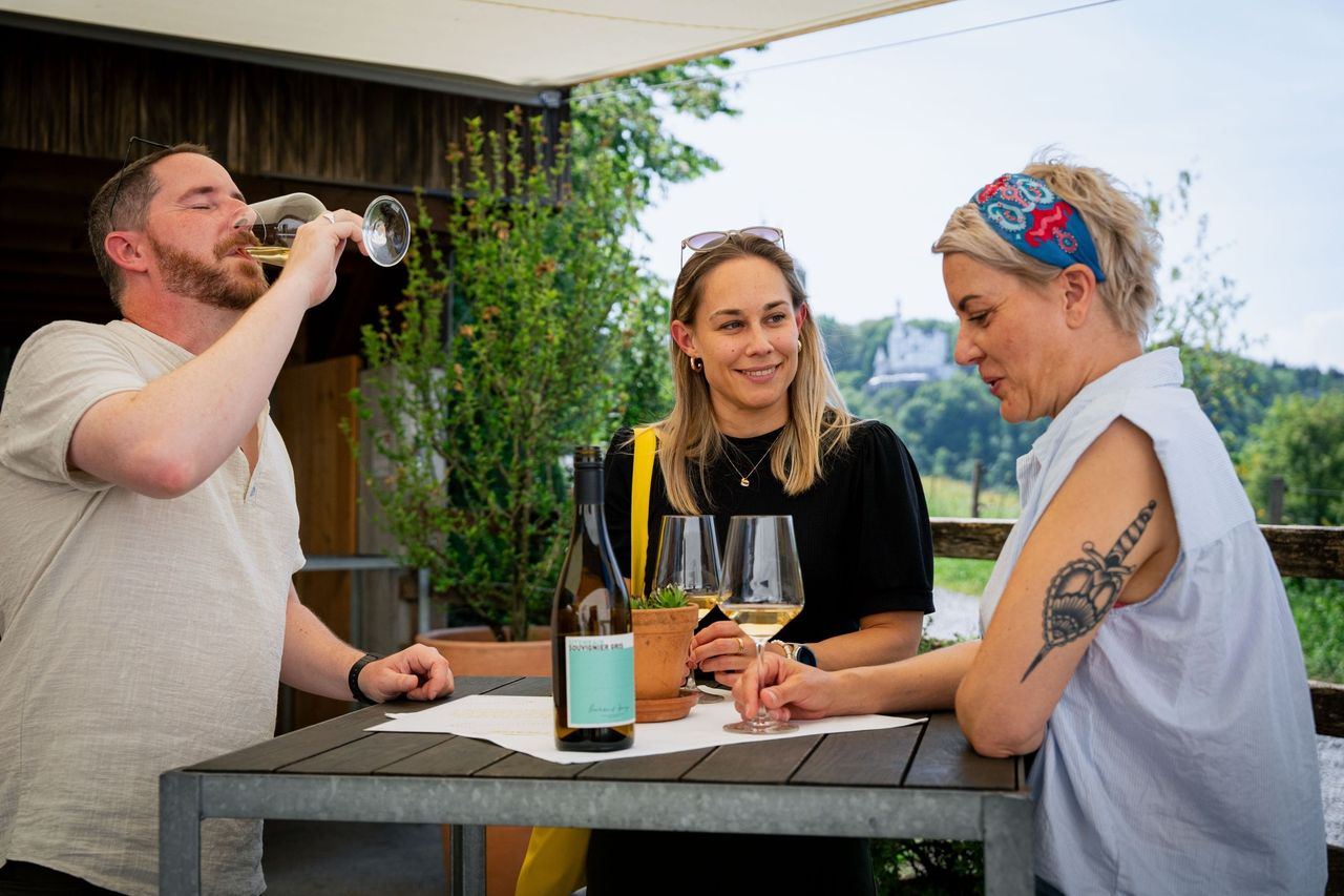 Berner Stadt Wein Wanderung