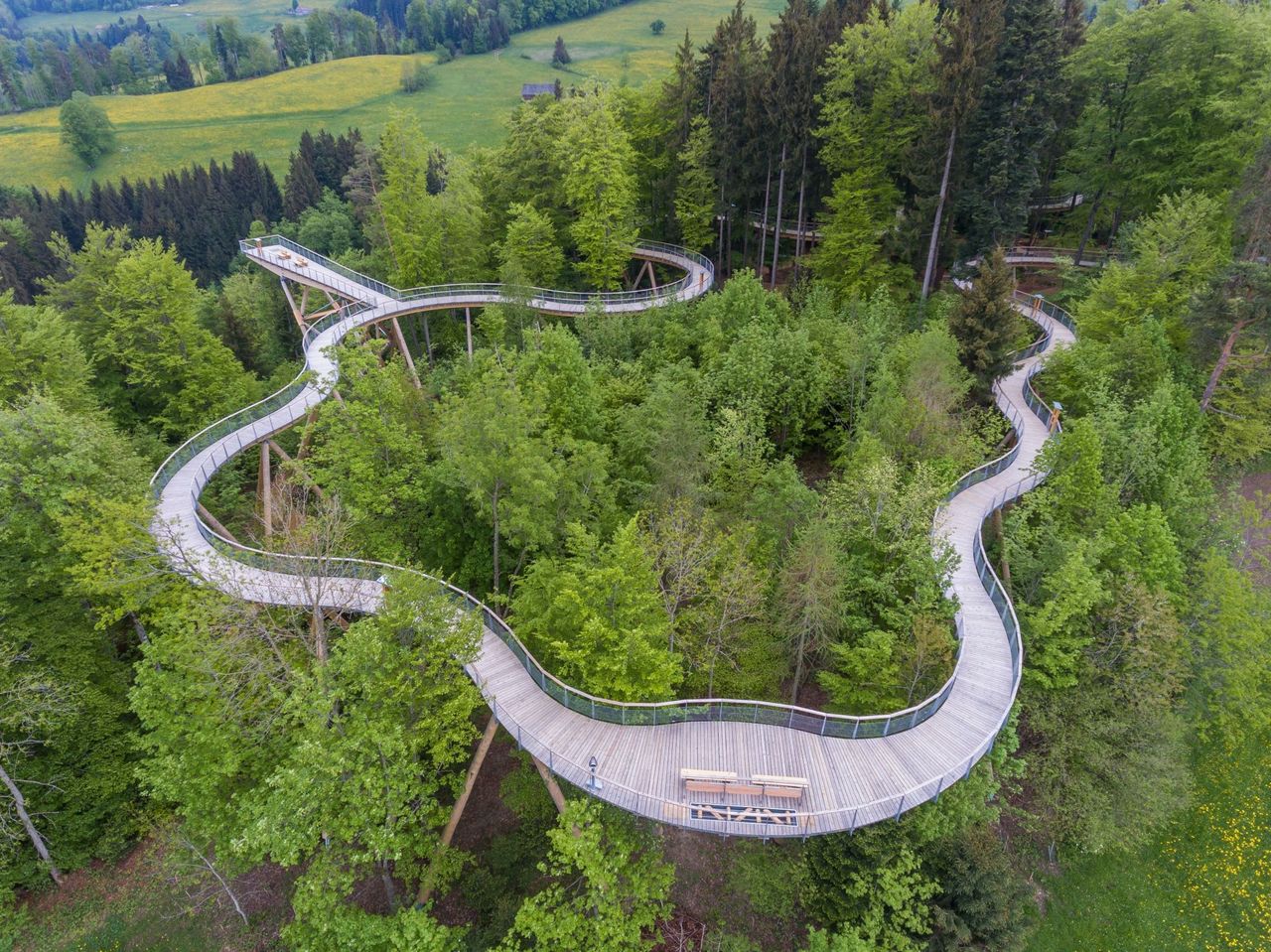 Ticket Baumwipfelpfad Neckertal im Toggenburg