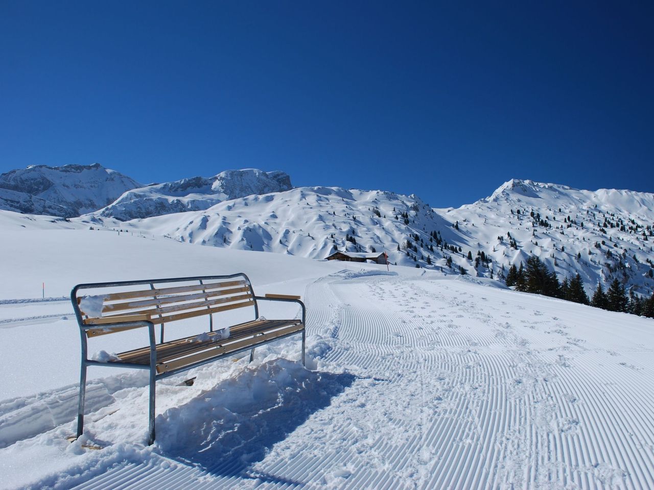 Tageskarte Winterwandertraum Betelberg