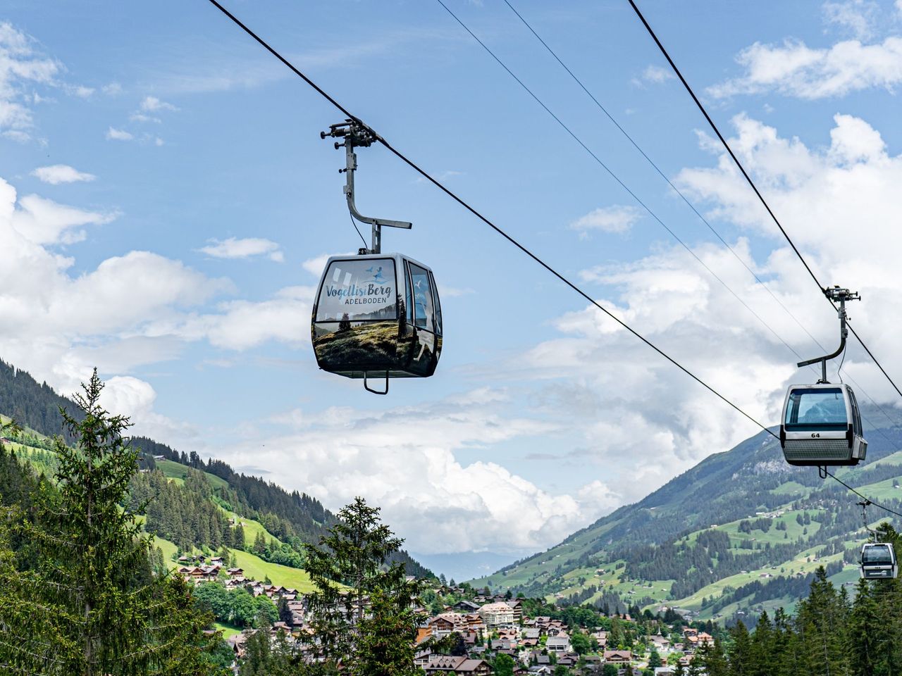 Tageskarte Bergbahnen Adelboden Lenk