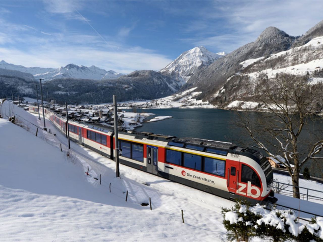 Ab Zürich: Exklusive Panoramazugreise und Jungfrau Region privater Tagesausflug
