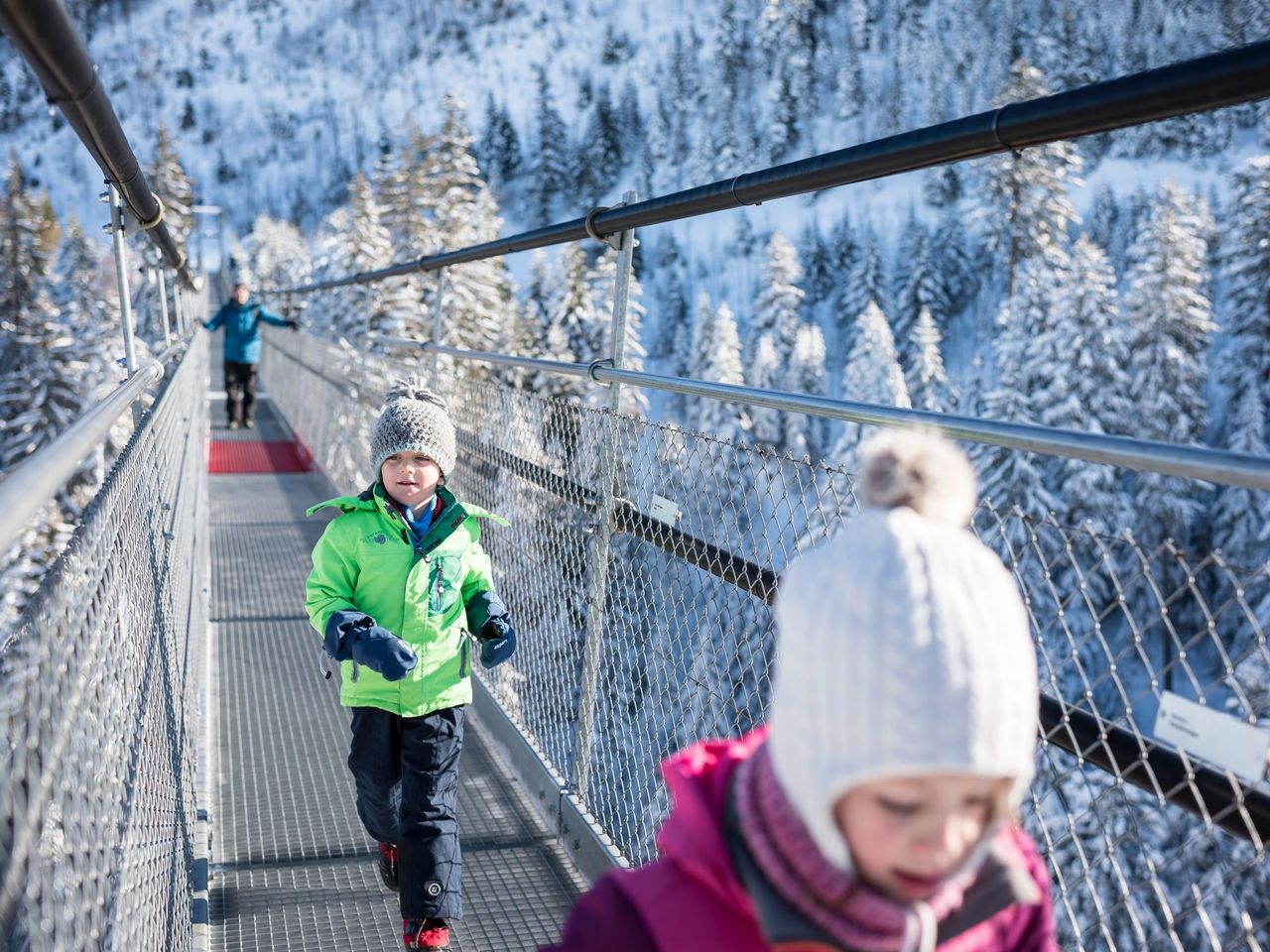 Ticket Drehgondelbahn Sattel-Mostelberg