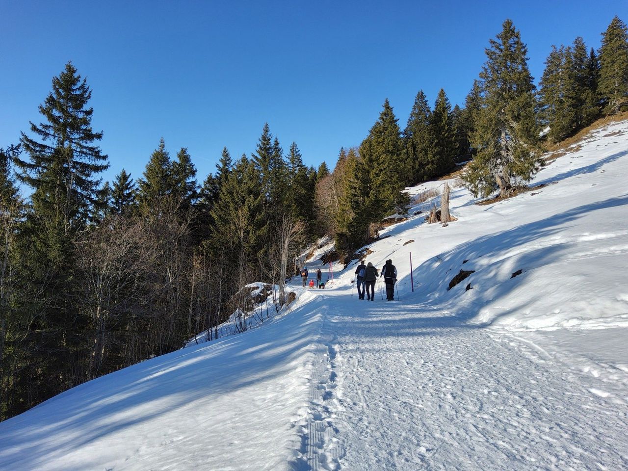 Geführte Wanderung zu versteckten Juwelen in den Alpen