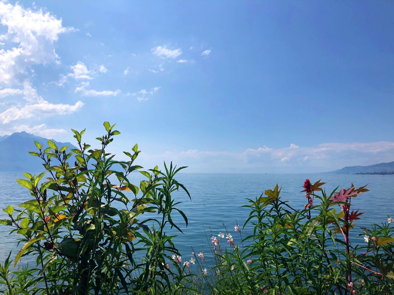 Montreux Promenade