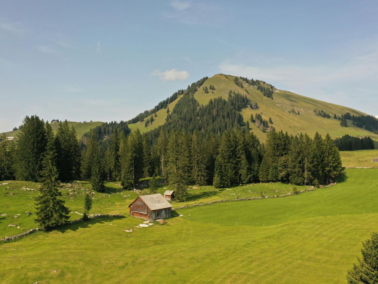 Alpenrhein Express Ticket between St. Gallen and Chur