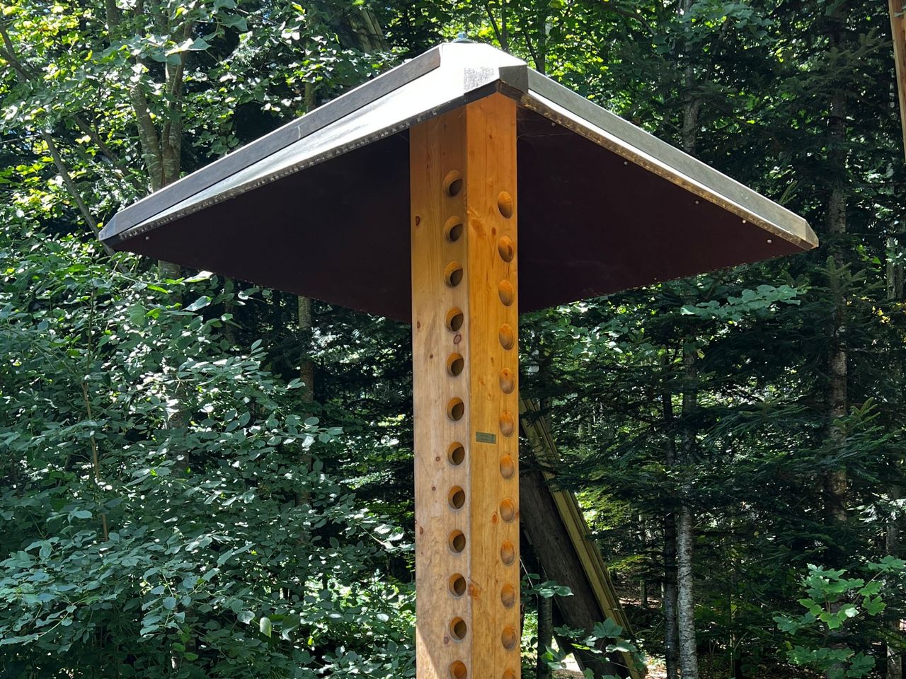 Ticket Baumwipfelpfad Neckertal im Toggenburg