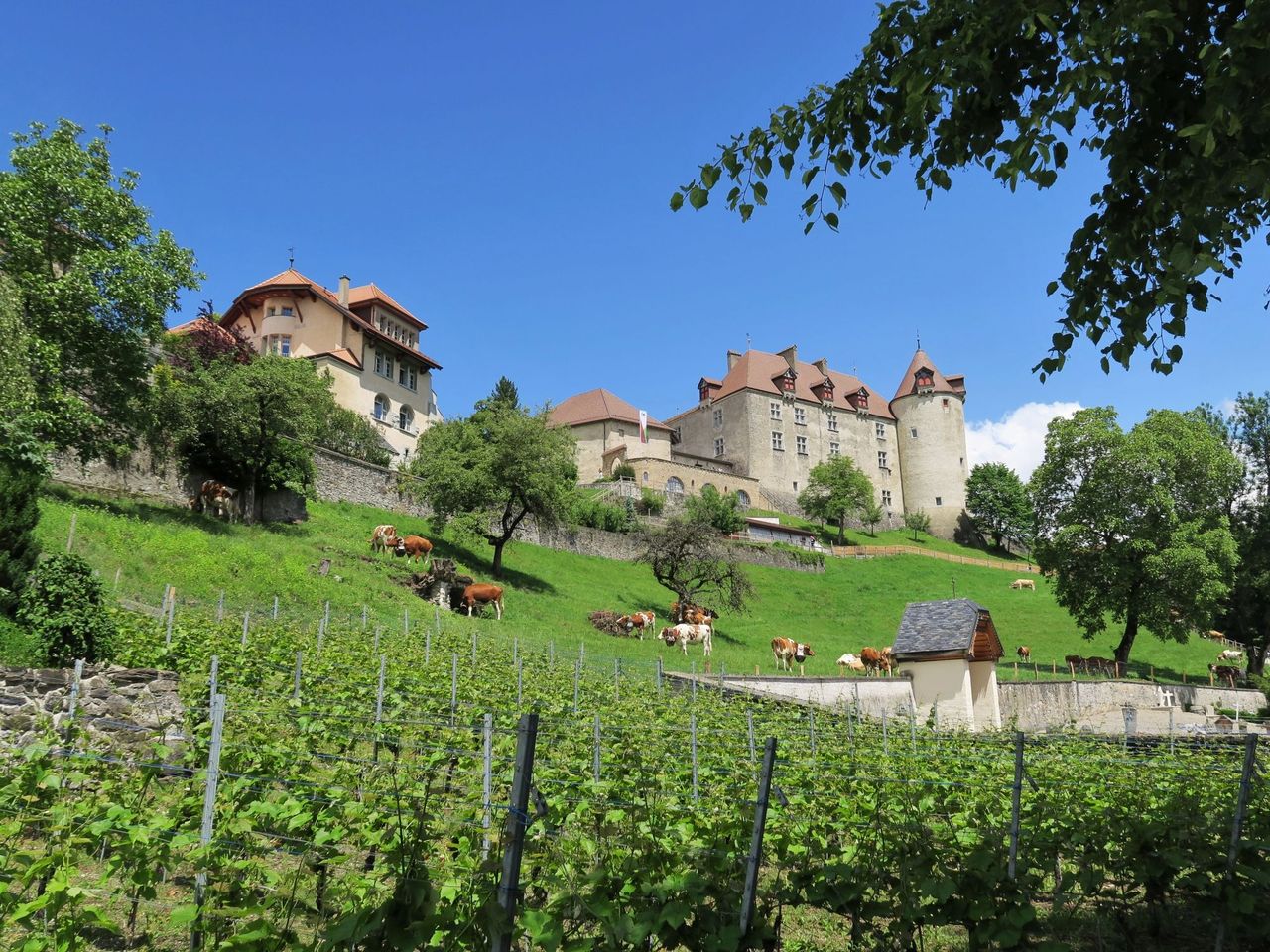 Ab Basel: Tagesausflug nach Gruyères mit Schloss und Schaukäserei