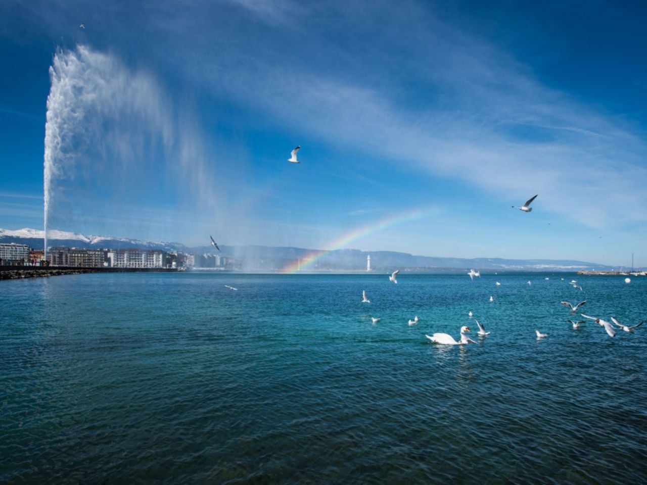 Geneva: Jet d'eau, boat cruise and city tour including aperitif