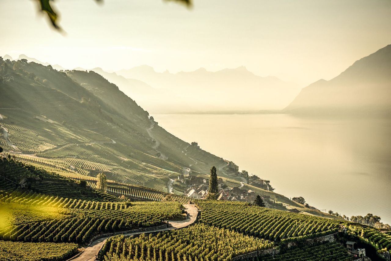 10 Tage Schweiz Lavaux