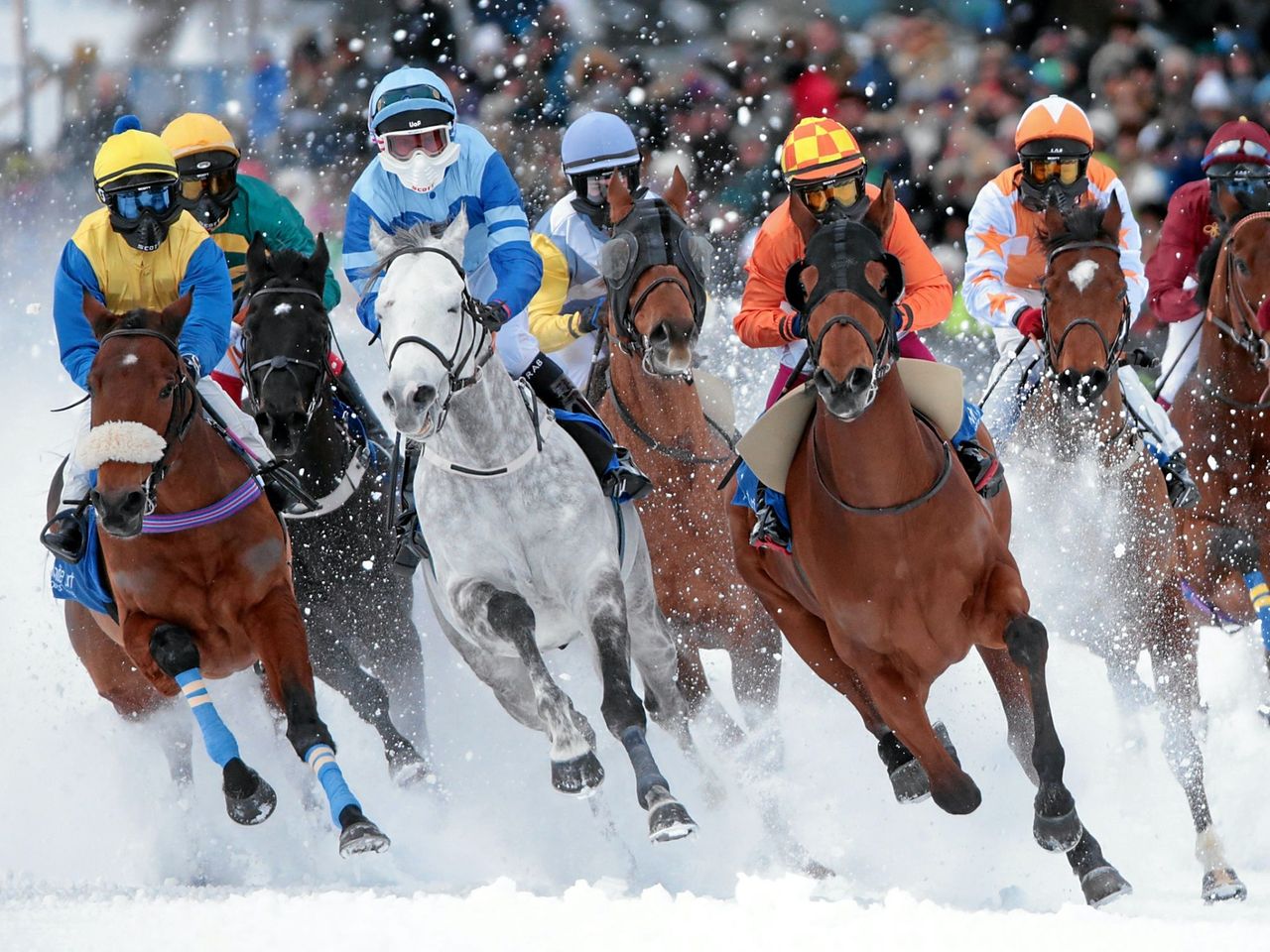 Snow Polo Cup