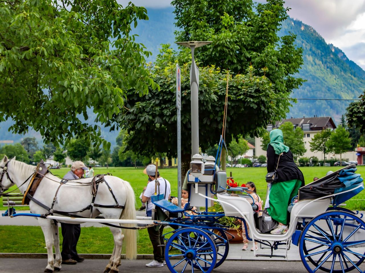 Ab Zürich: Blausee und Interlaken privater Tagesausflug
