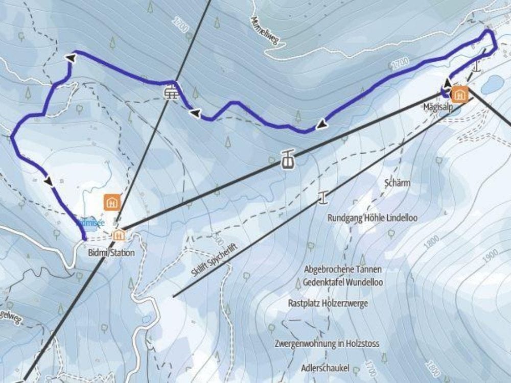 Tageskarte Schlitteln Meiringen Hasliberg