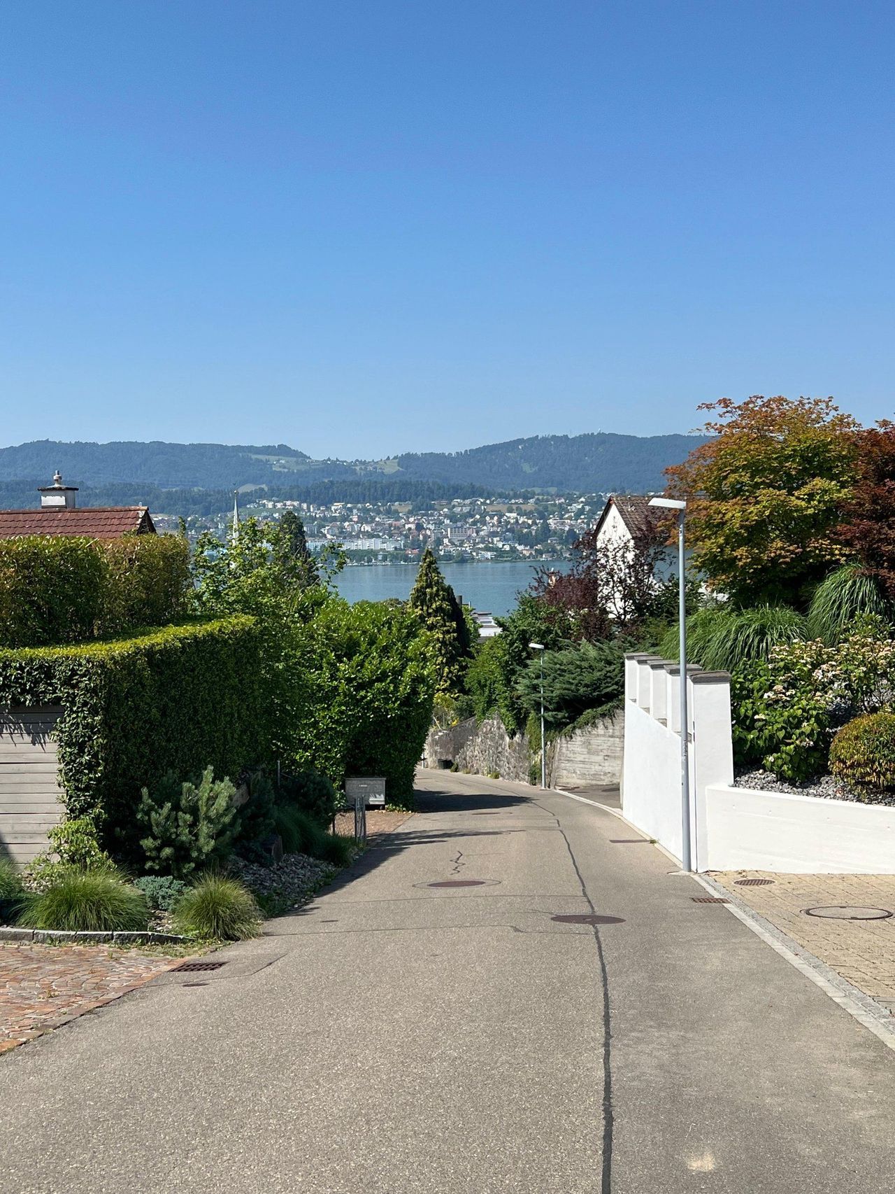 Privater Waldspaziergang und Dorfrundgang an der Goldküste in Erlenbach