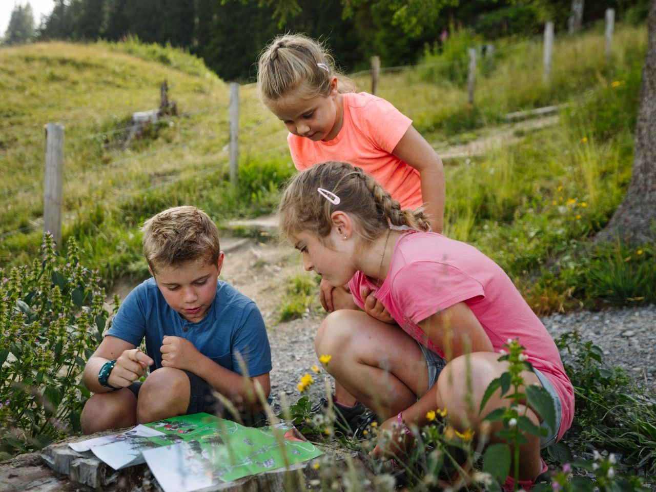 Ticket für Vogellisi Erlebnisweg ab Adelboden