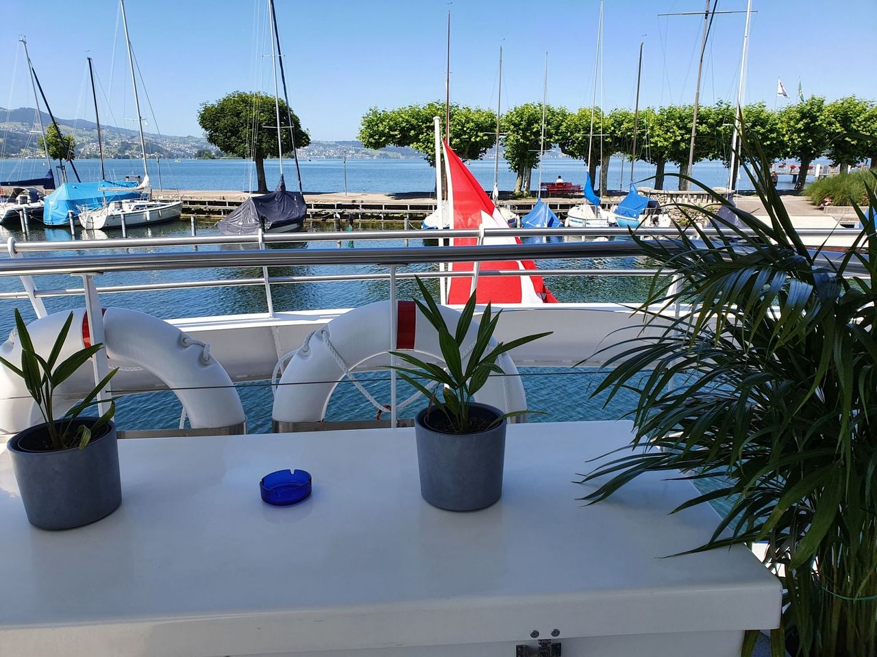 Chäs-Fondue Schiff Zürichsee ab Rapperswil