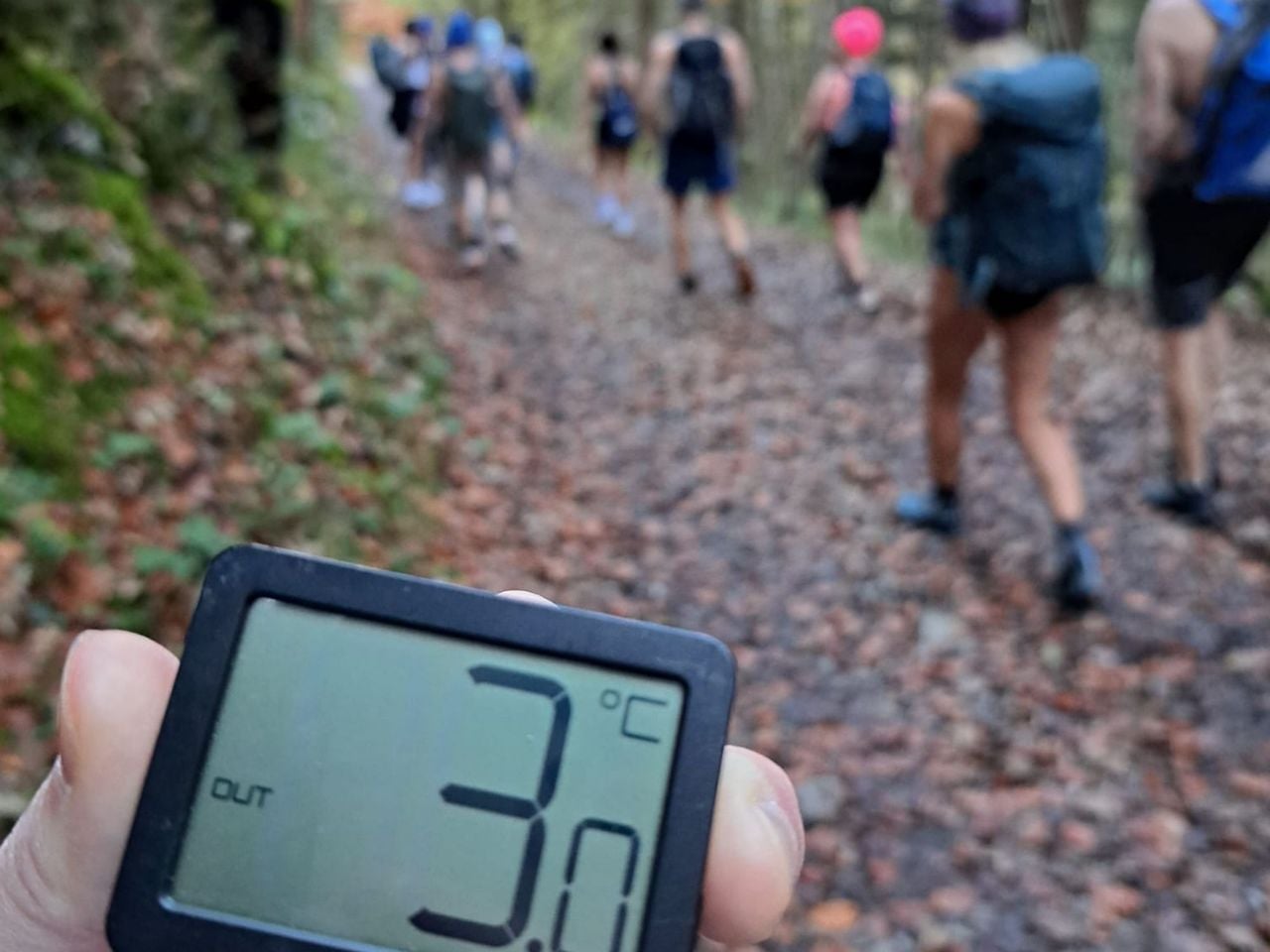 Kältewanderung am Vierwaldstättersee geführt