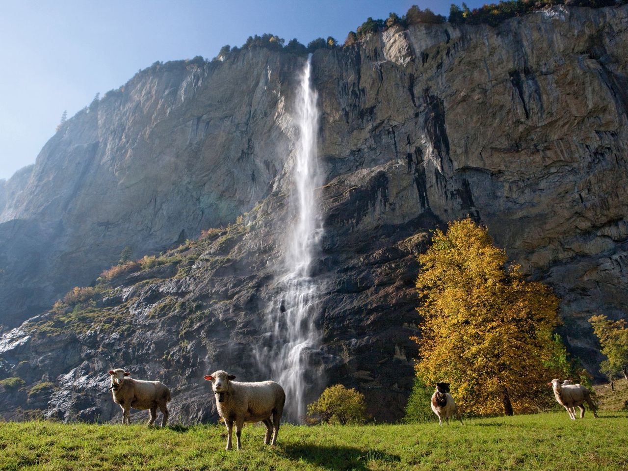 Ab Interlaken: Tagestour nach Grindelwald, Interlaken und Lauterbrunnen
