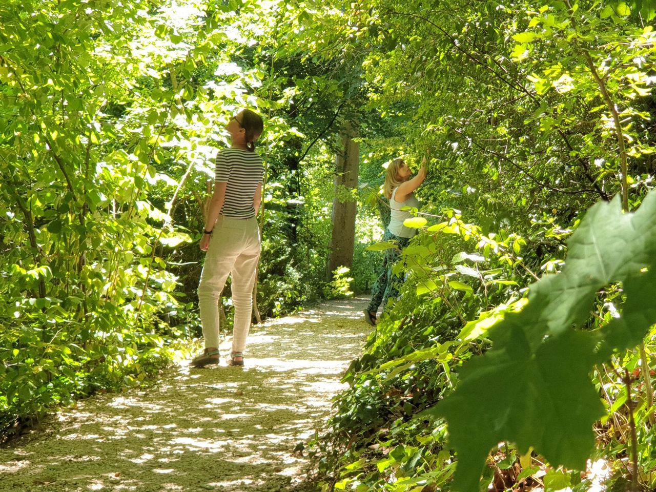 Wald Wellness in Basel