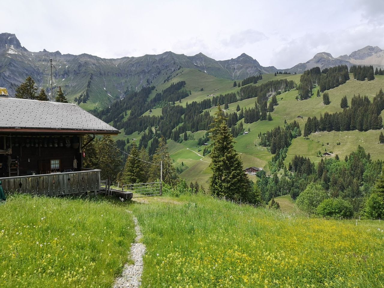 Privates Alp Erlebnis mit Käsedegustation in Adelboden