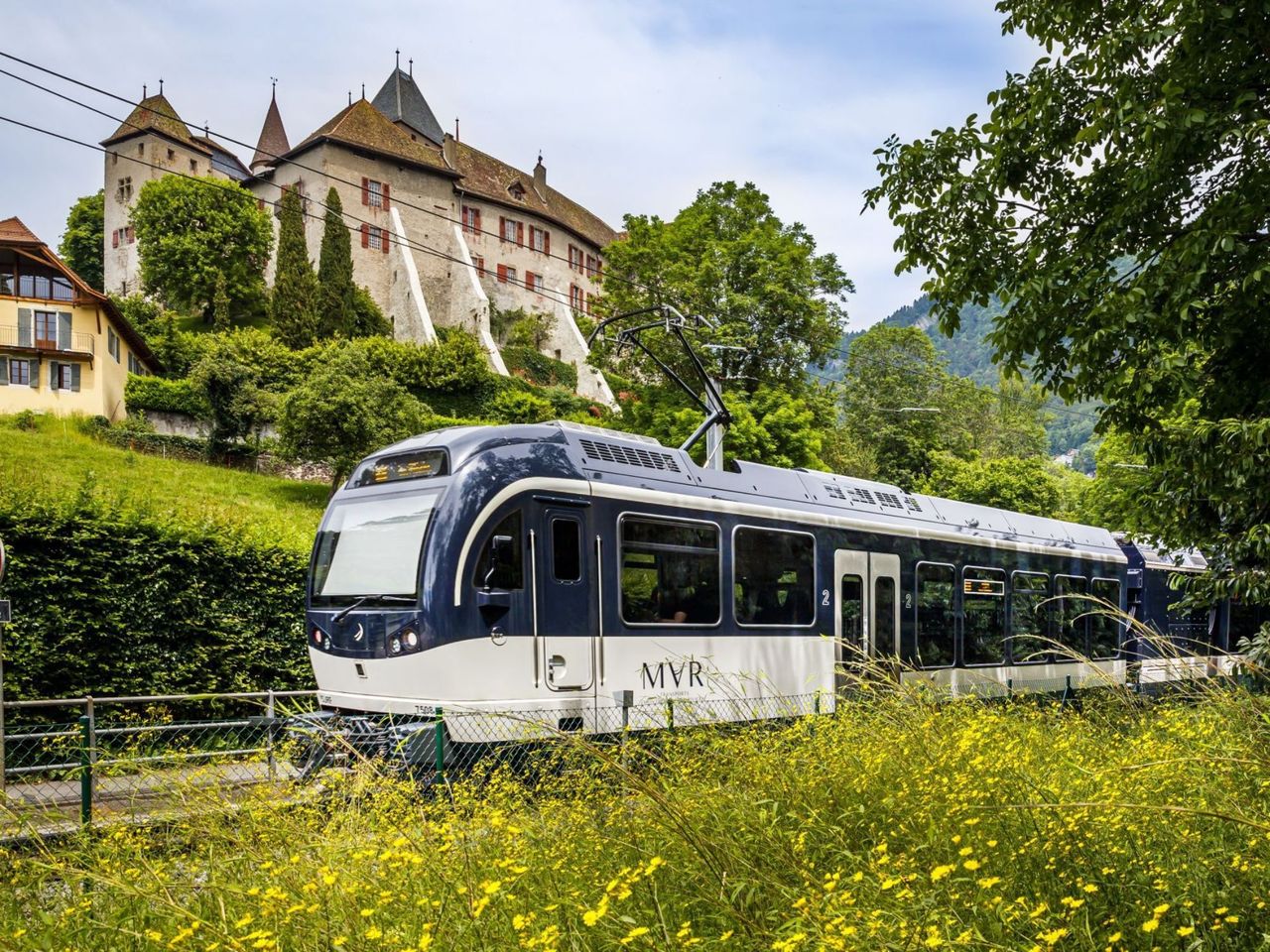 Ticket Zahnradbahn Vevey - Les Pléiades
