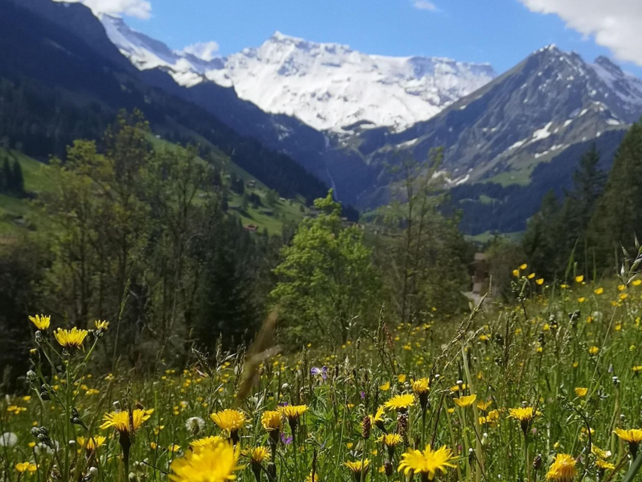 Adelboden Highlights Tagestour