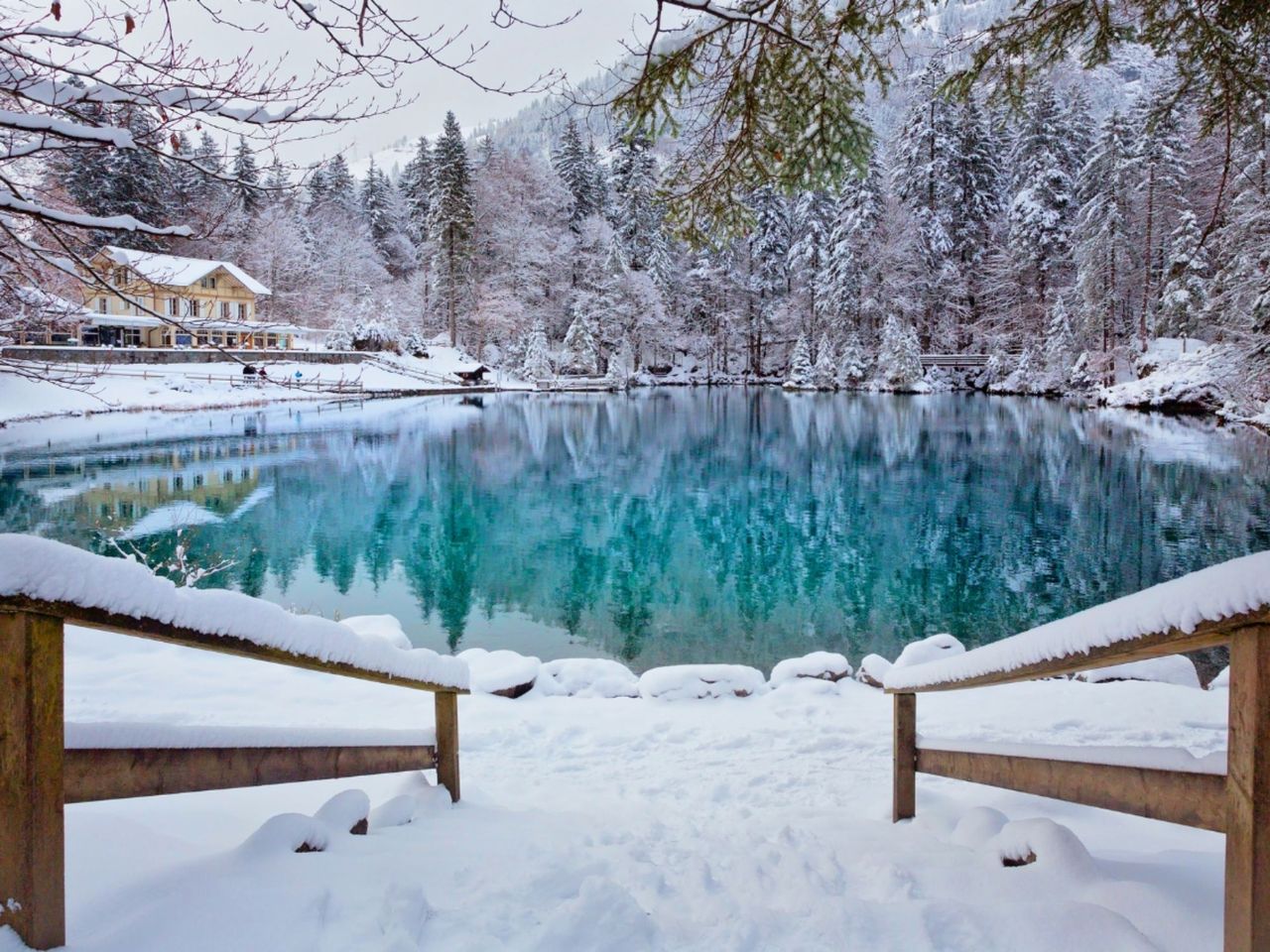 Ab Zürich: Blausee und Interlaken privater Tagesausflug