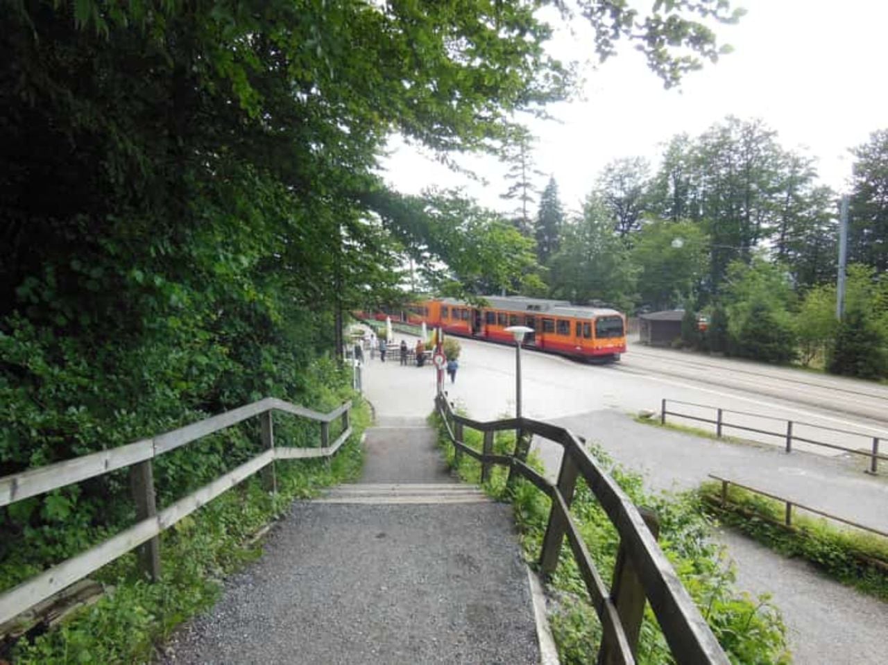 Ab Zürich: Panorama Abenteuer mit Zahnradbahn, Standseilbahn und Boot