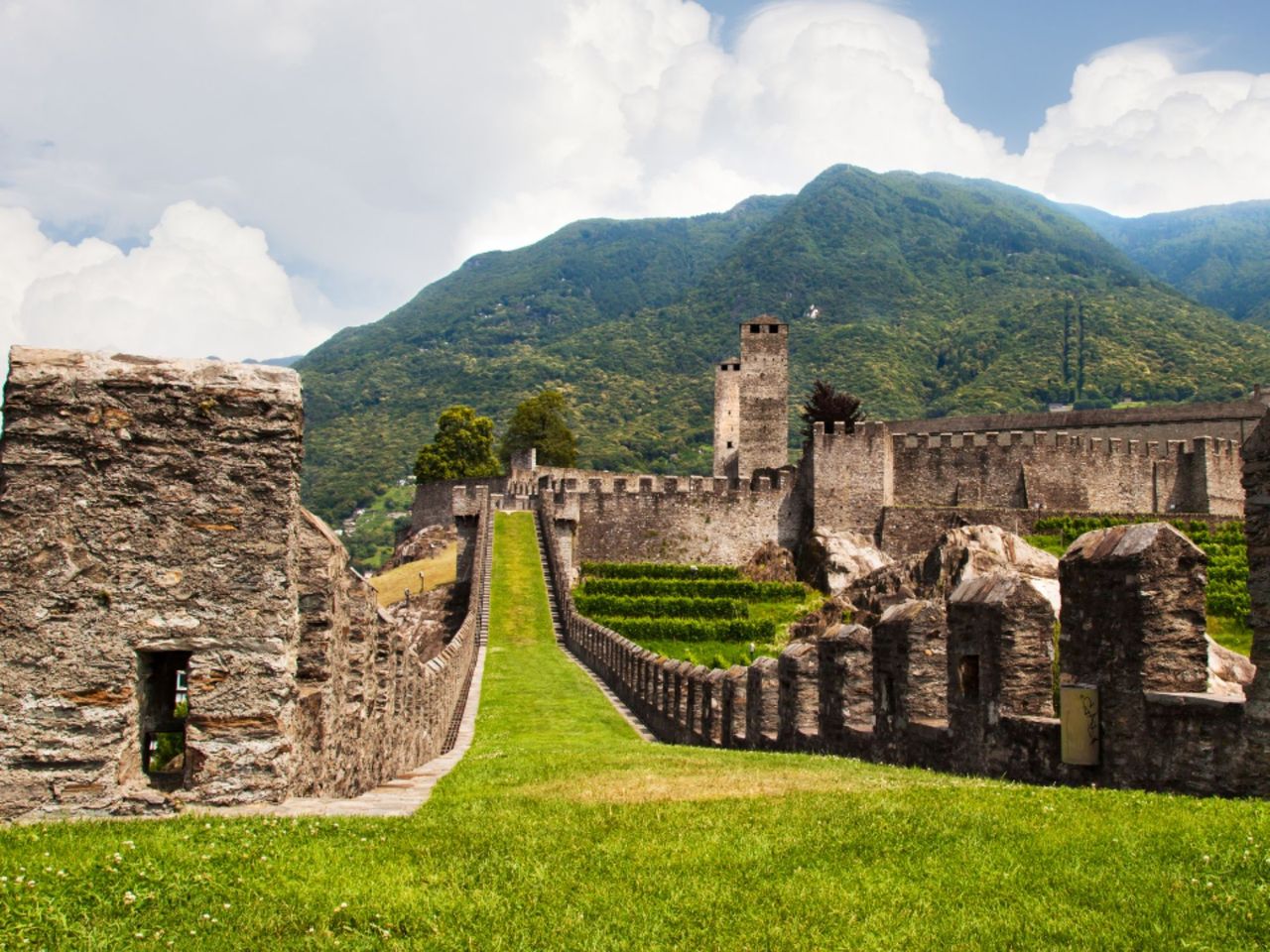 Ab Como (Italien): Privater Tagesausflug Bellinzona Markt und Burgen