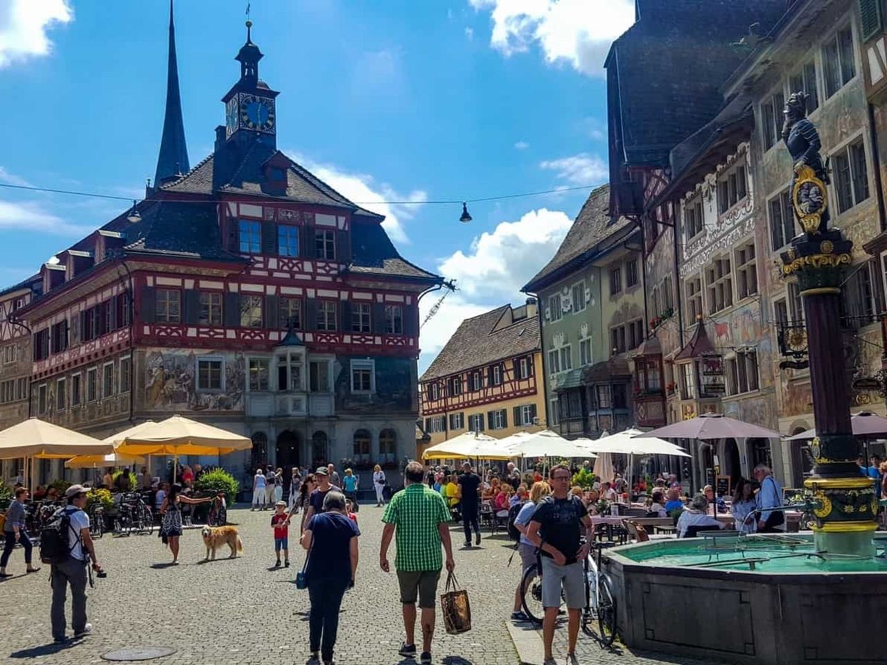 Ab Zürich: Rheinfall und Stein am Rhein private Tour