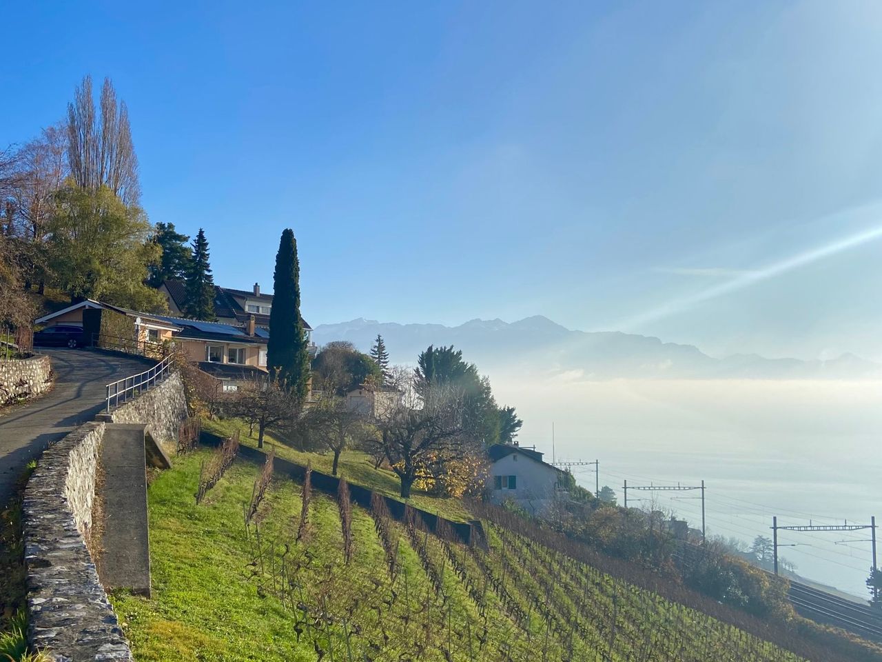 Private Weinwanderung in Lavaux ab Lausanne