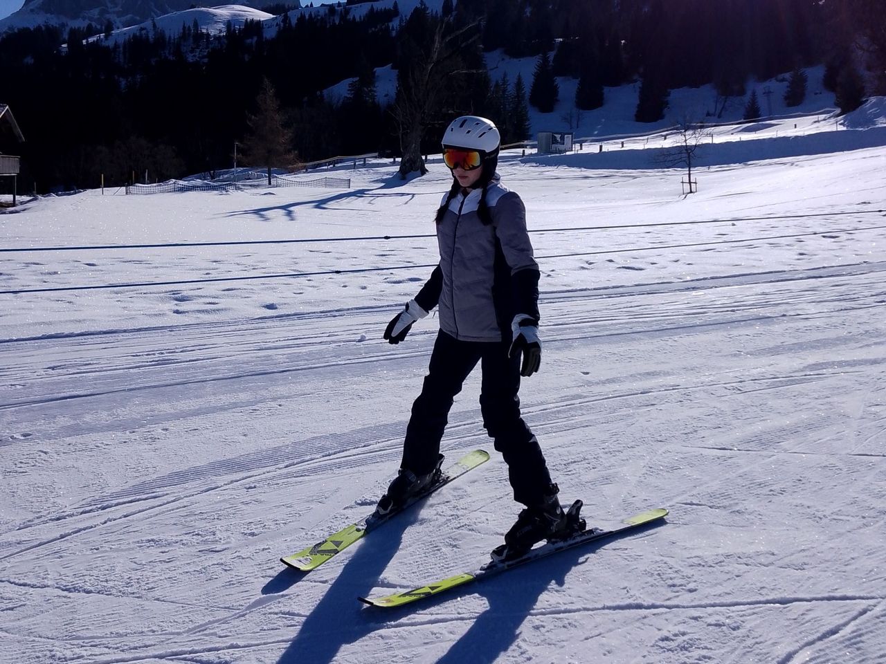 Skischule privat in Adelboden-Lenk