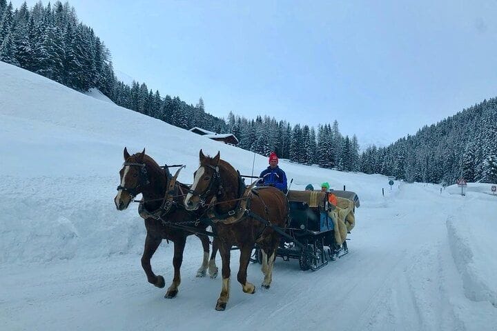 Ab Zürich: Private Pferdekutschenfahrt im Winter mit Schokoladenfabrik