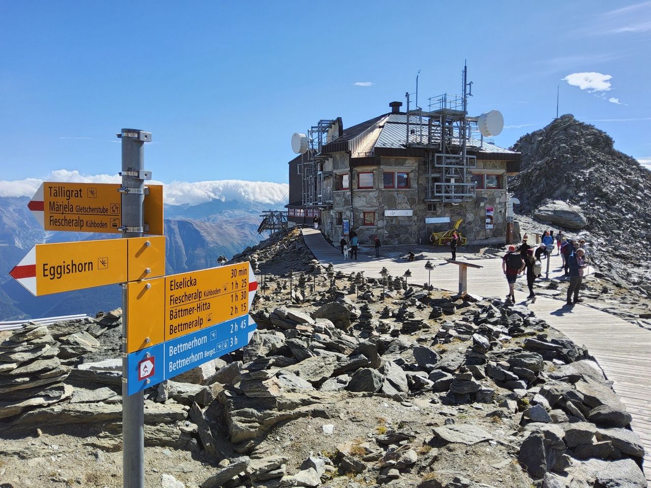 Ab Zürich: Tagesausflug zum Aletschgletscher