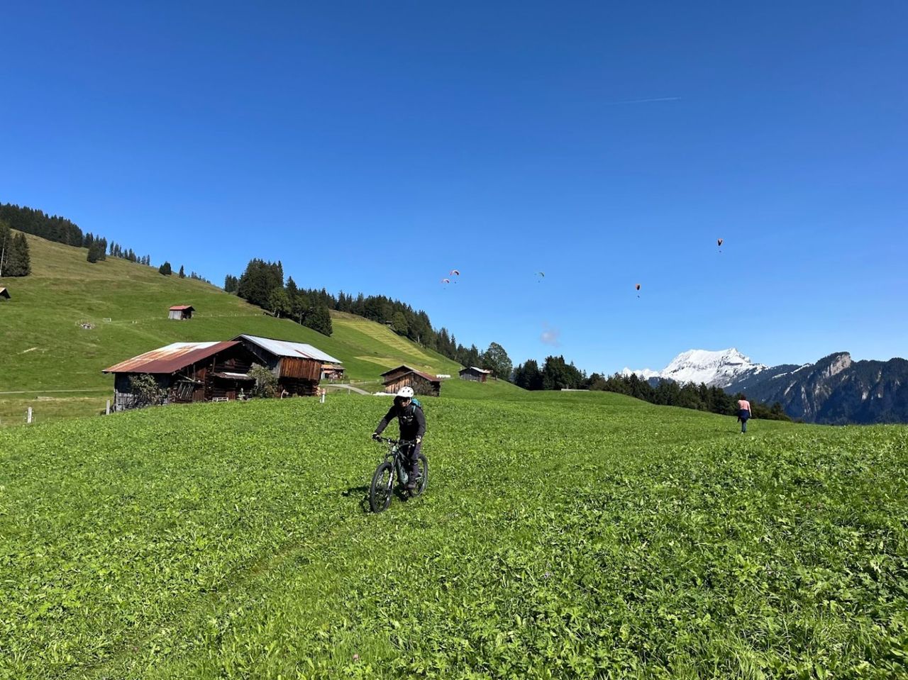 Private E-Bike Tour von Grindelwald nach Lauterbrunnen