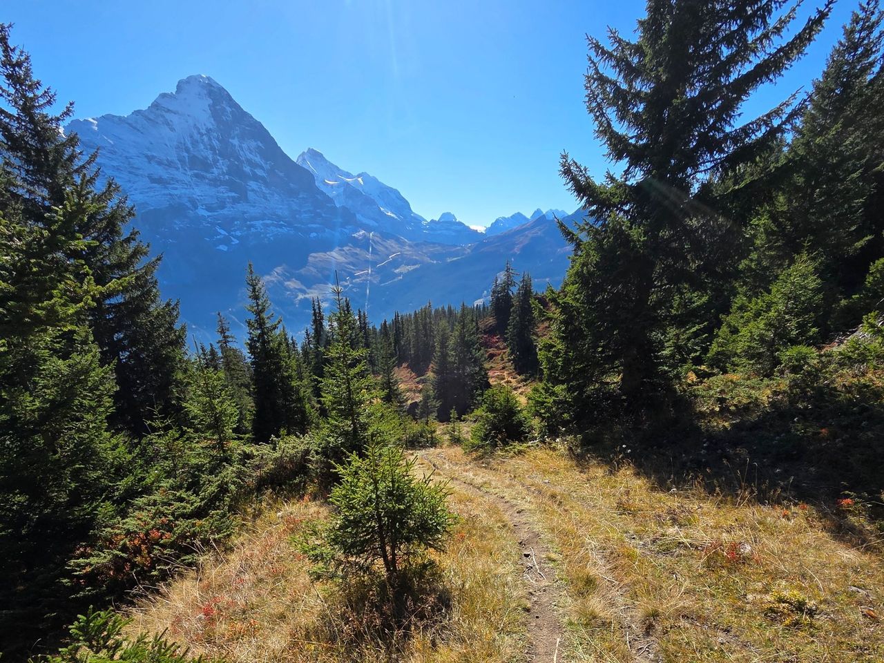 Individuelle geführte E‑Bike Tour Grindelwald