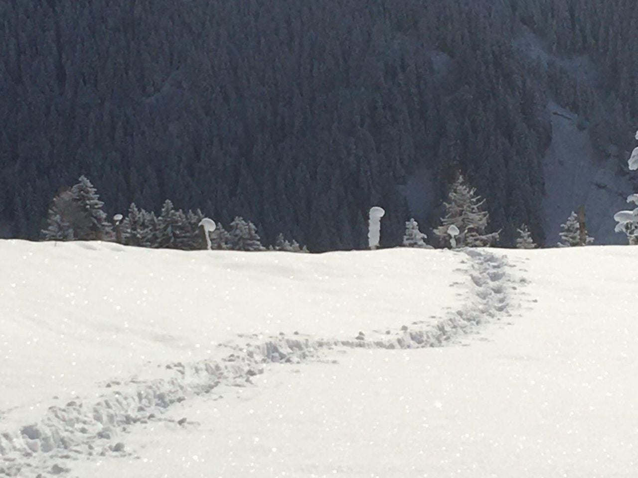 Private Snowshoe Tour in Lenzerheide