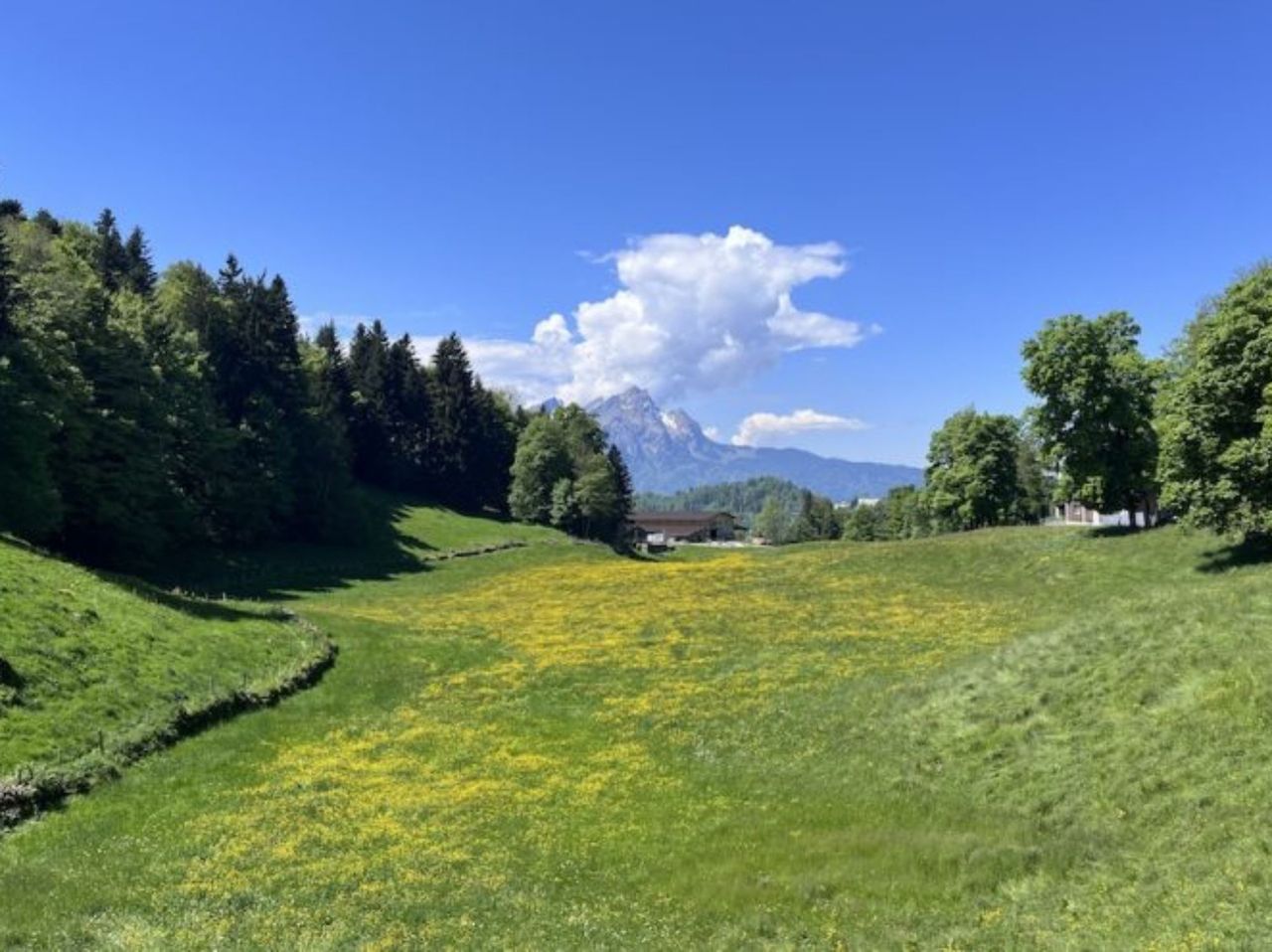Private cliff hike Bürgenstock from Lucerne