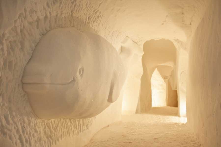 Davos Gleitschirmfliegen zu zweit mit Iglu Übernachtung